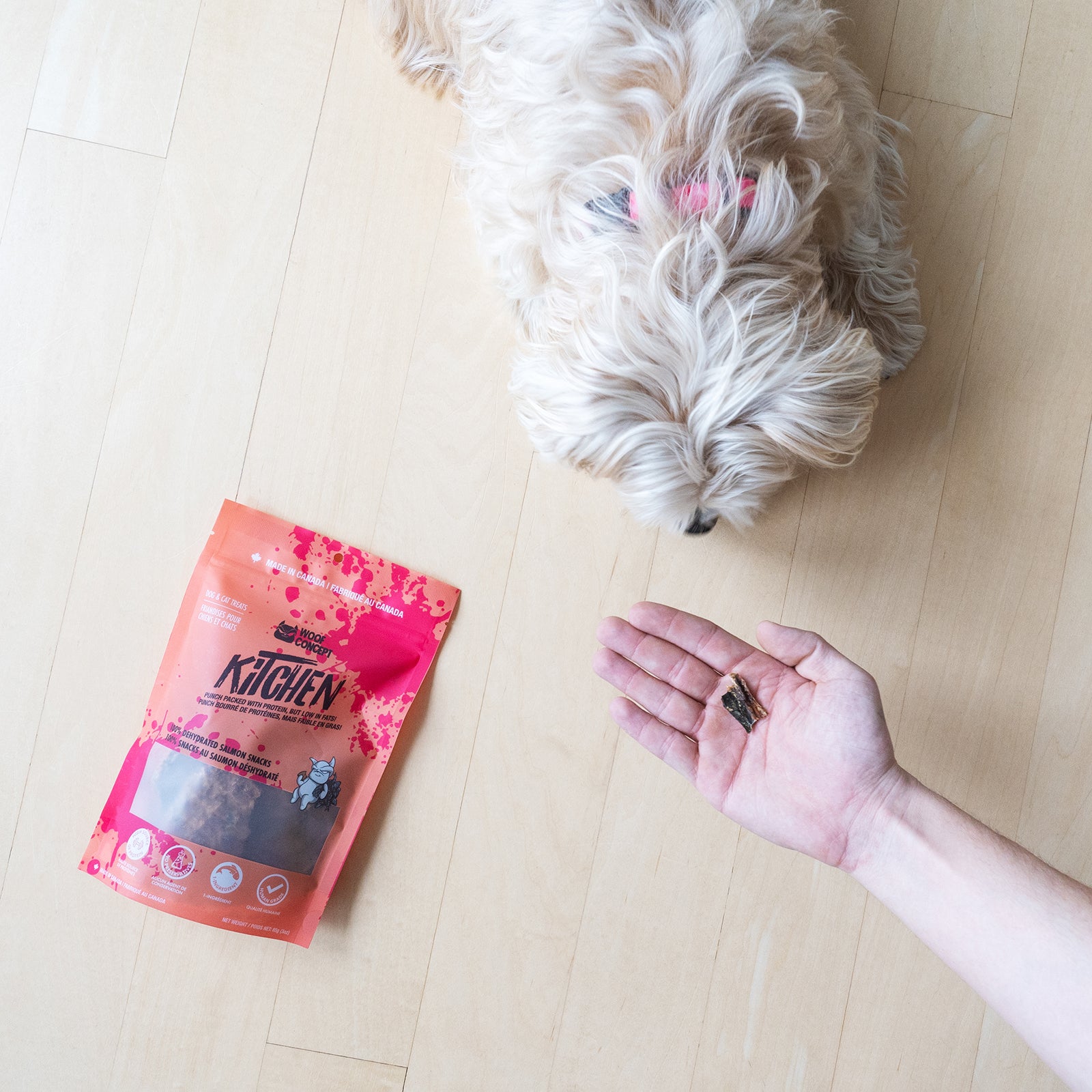 Dehydrated Salmon Dog Treat 1 Pack Woof Concept HK