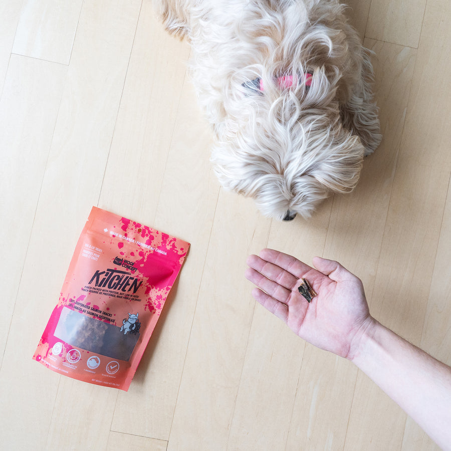 Salmon Treats by Woof Concept HK