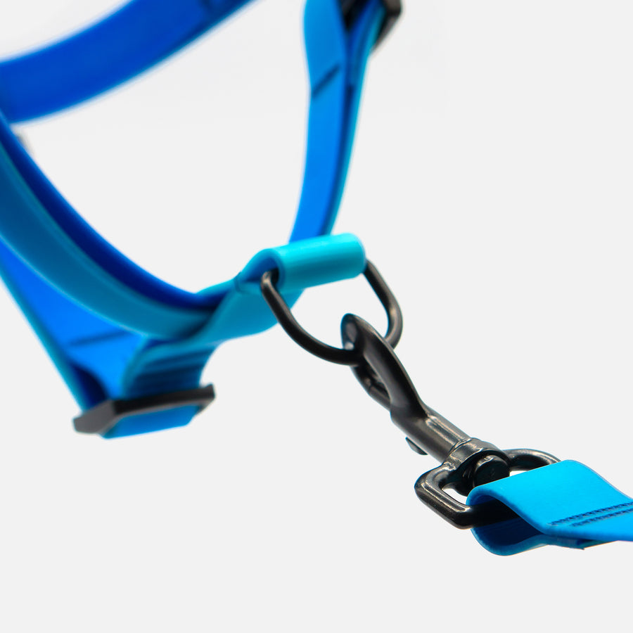 Blue Hawaiian - Waterproof Dog Step-In Harness