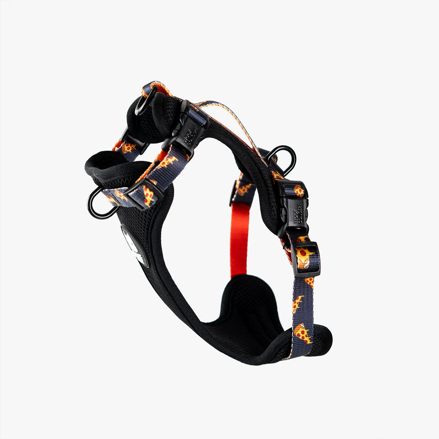 Brooklyn Max Control Harness