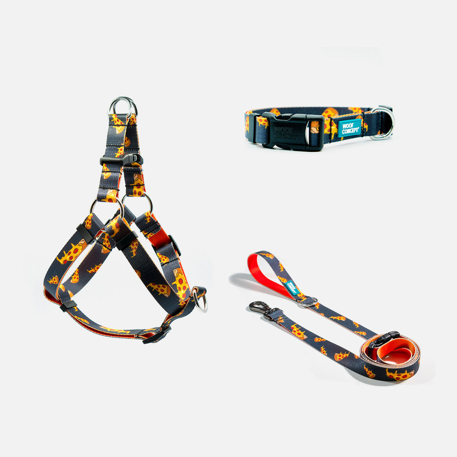 Dog Leash, Collar, Harness