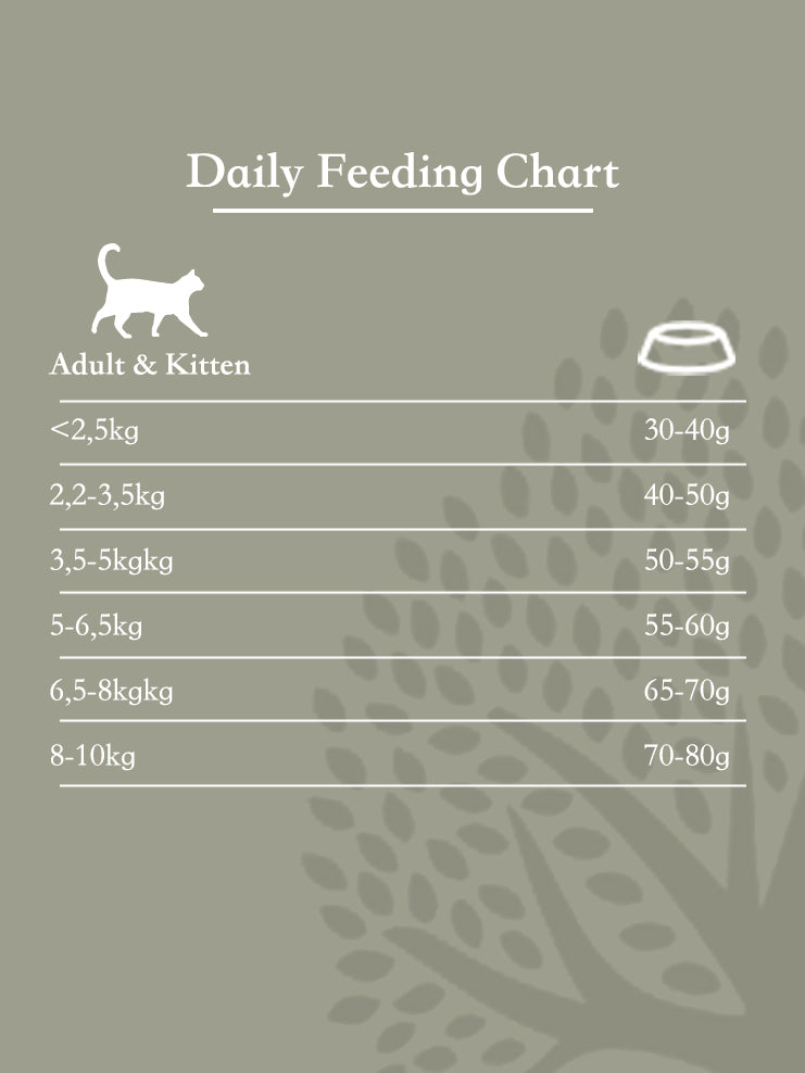 The Jaguar Cat Dry Food (1.5kg)