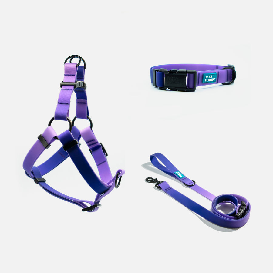 Dog Leash, Collar, Harness