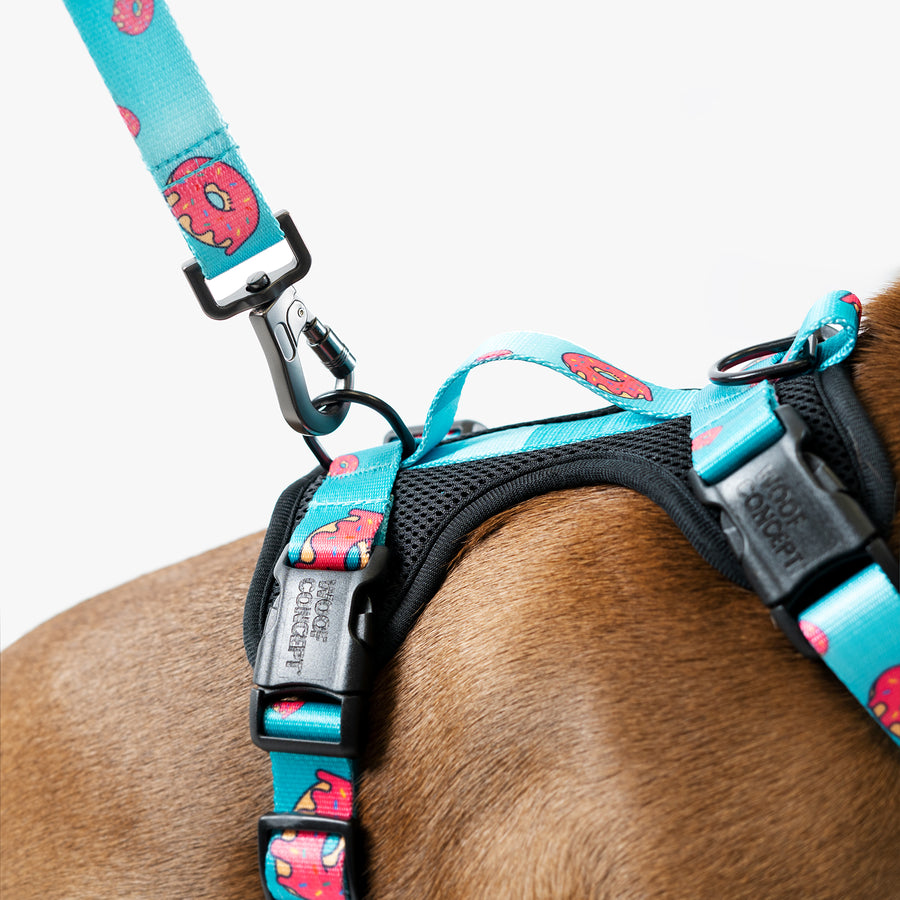 Dog Harness with D ring