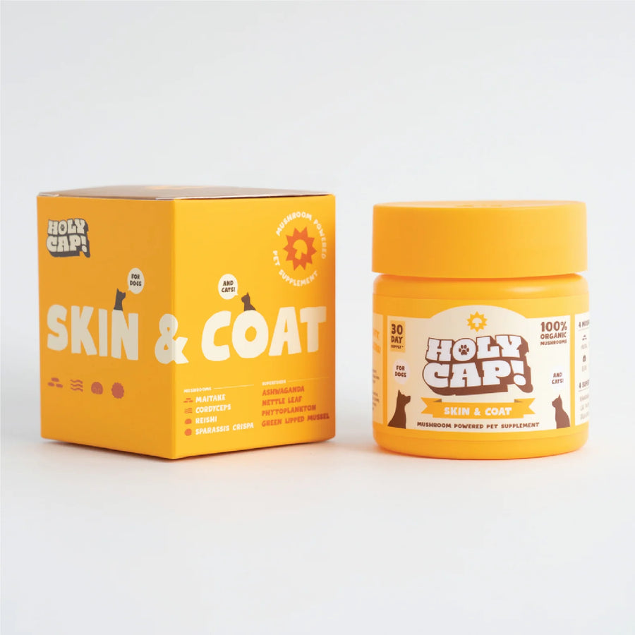 Skin & Coat Support Mushroom Powered Pet Supplement