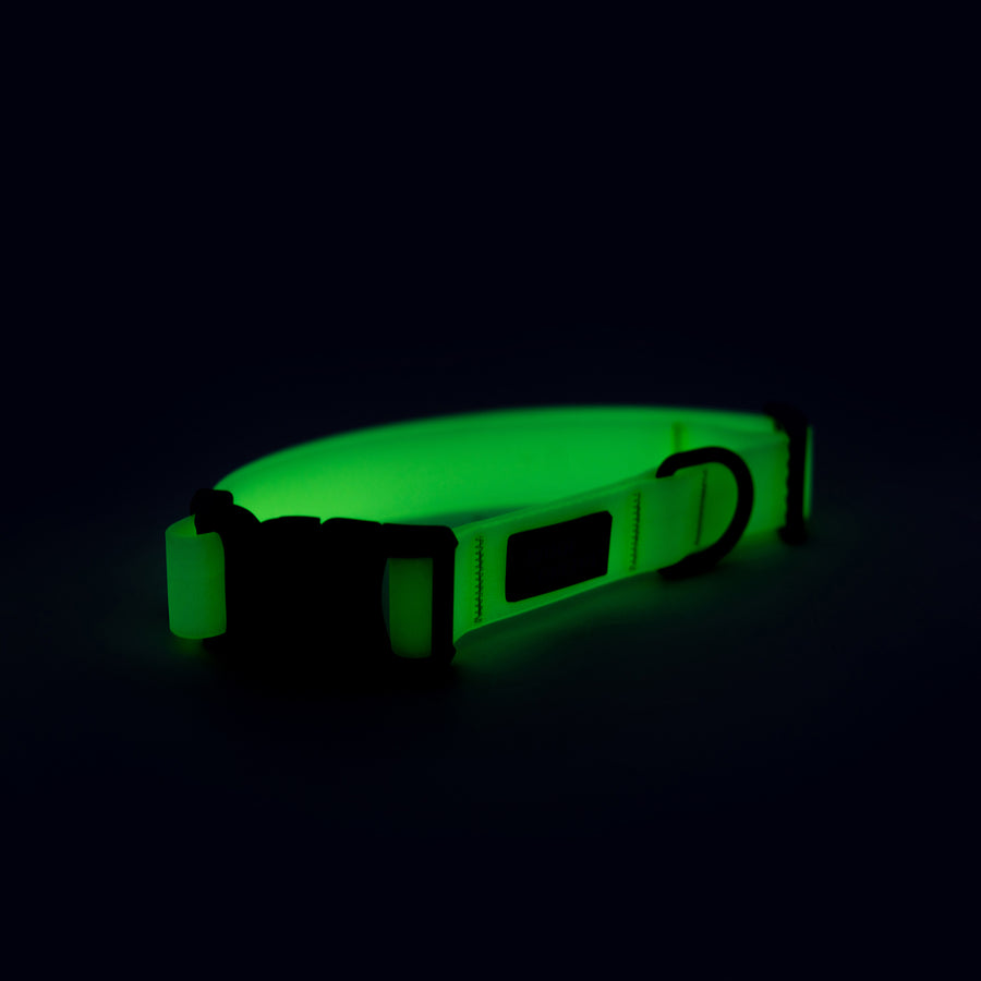 Glow in the Dark Dog Collar