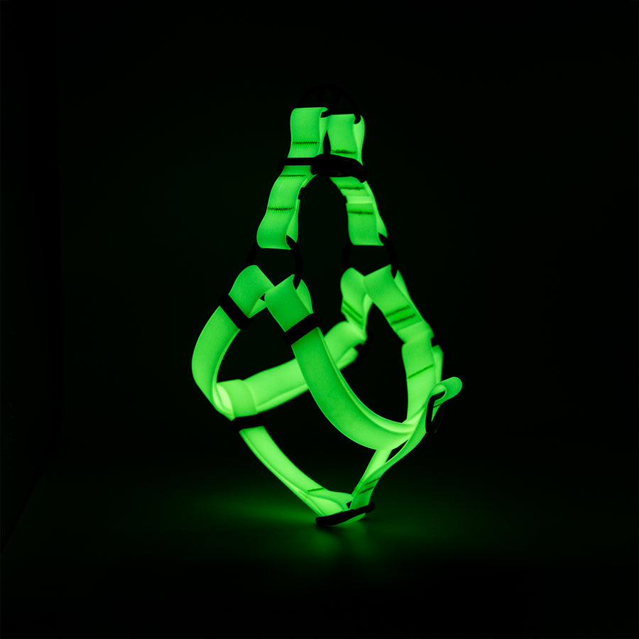 Glow in the Dark Dog Harness