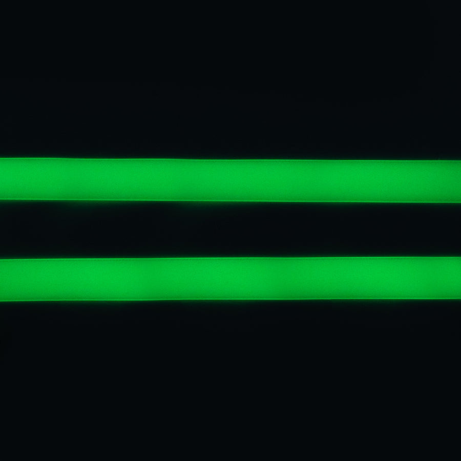 Glow in the Dark Dog Leash