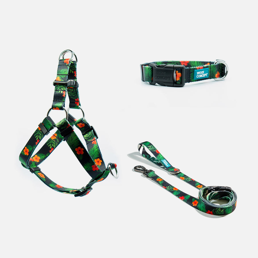 Dog Leash, Collar, Harness