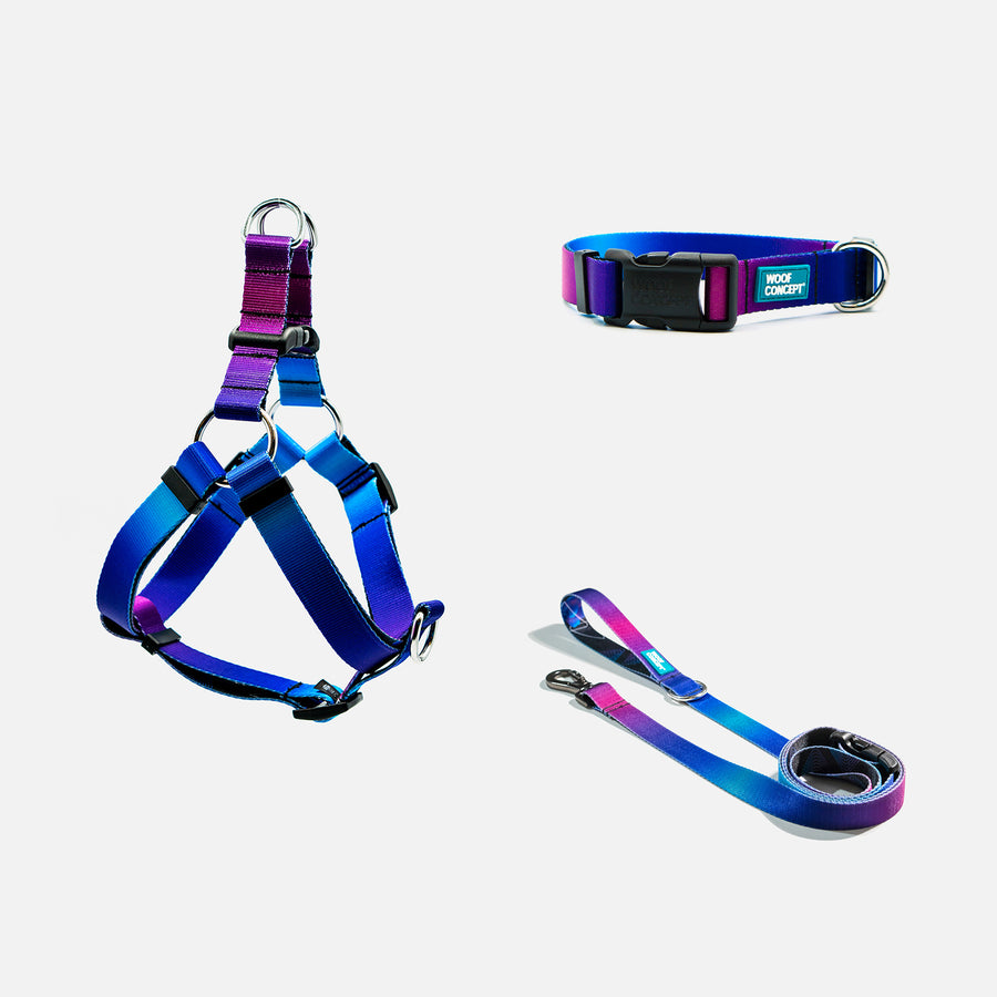 Dog Leash, Collar, Harness