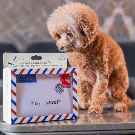 Woof² Hong Kong Airmail Letter Plush Dog Toy