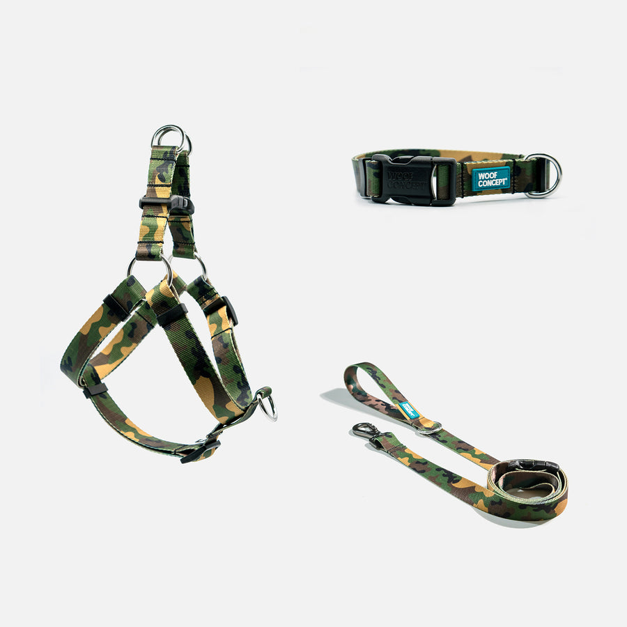 Dog Leash, Collar, Harness