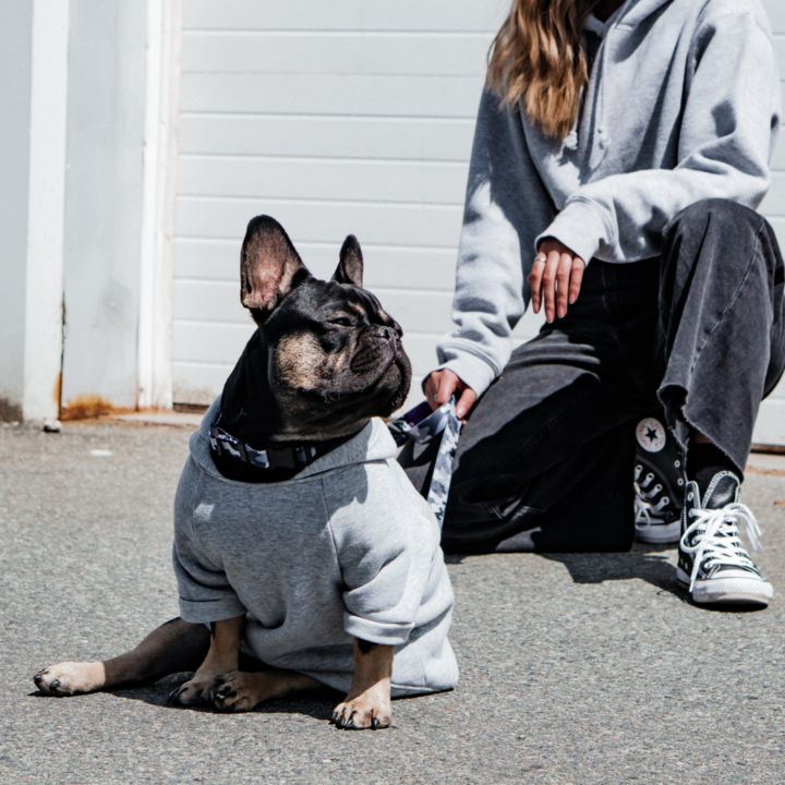 dog hoodie