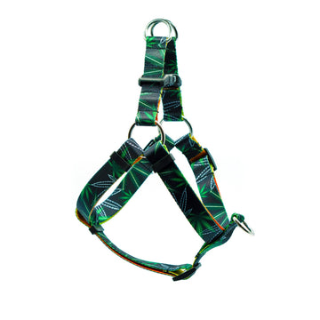 dog harness