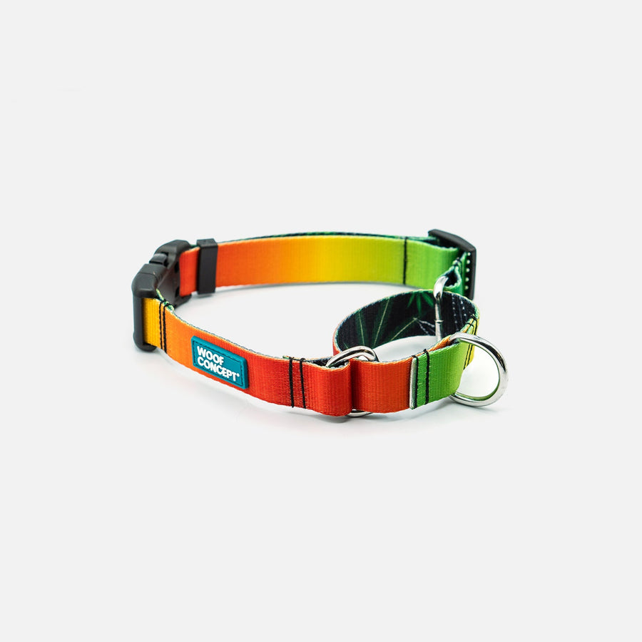 dog martingale