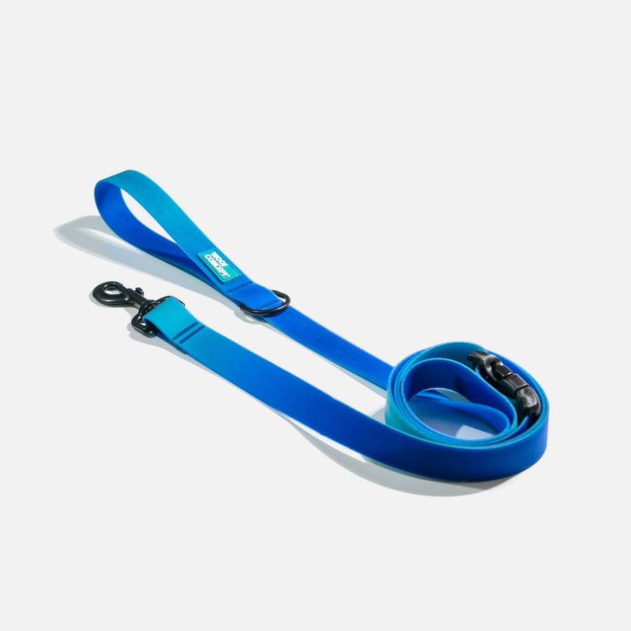 waterproof dog leash