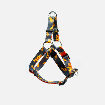 dog harness