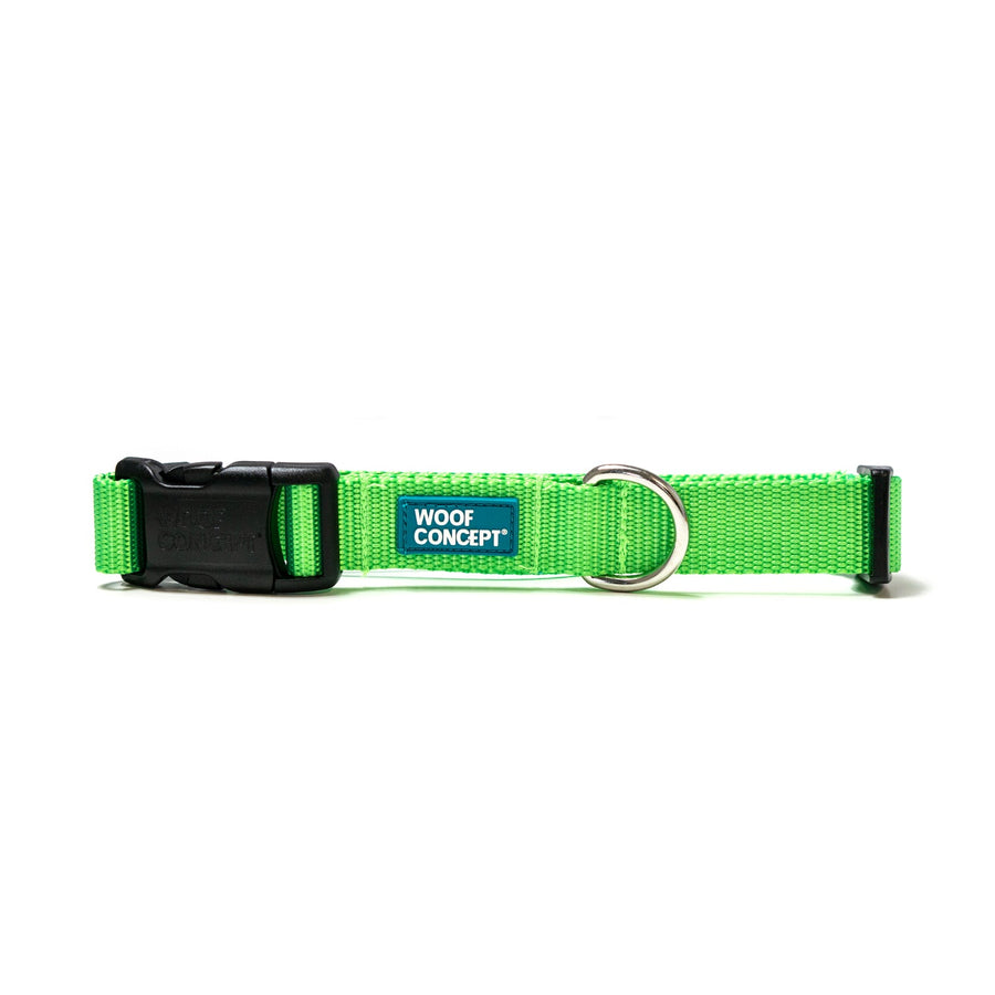 Lime Dog Collar