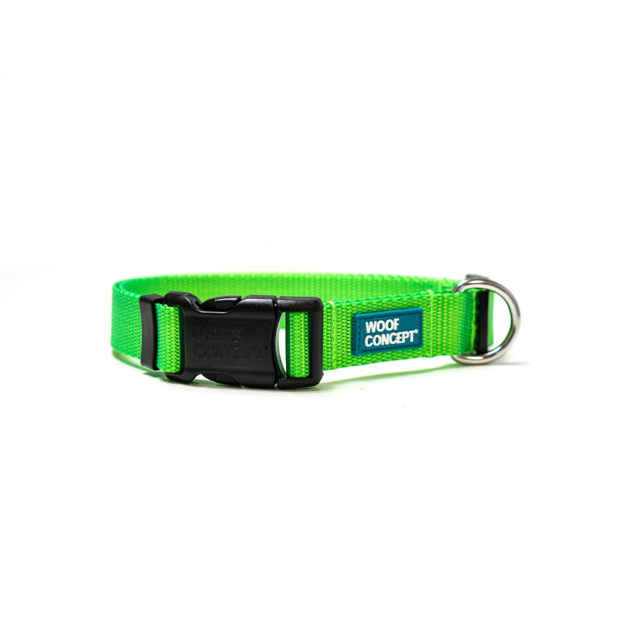 Lime Dog Collar