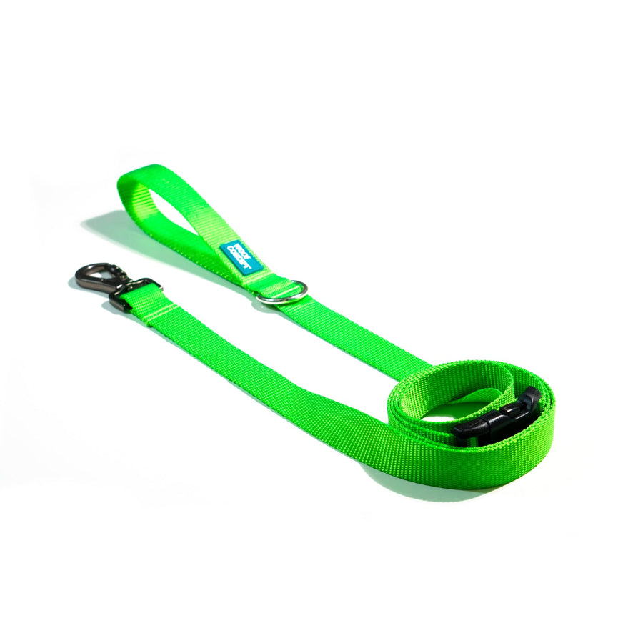 Kiwi Leash