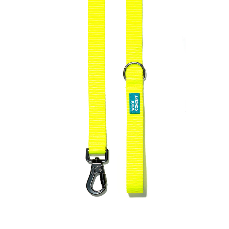 Dog Lemon Leash