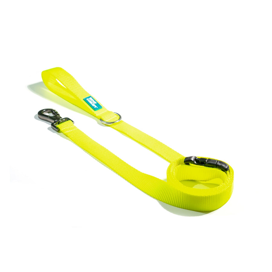 Dog Lemon Leash