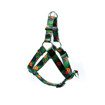 Dog Harness