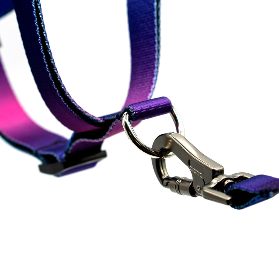 Dog Harness