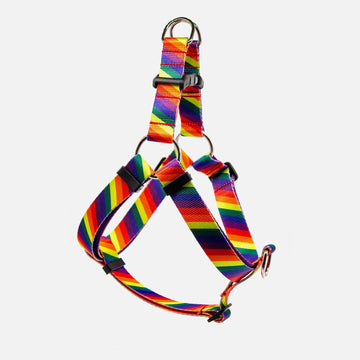 Dog Harness