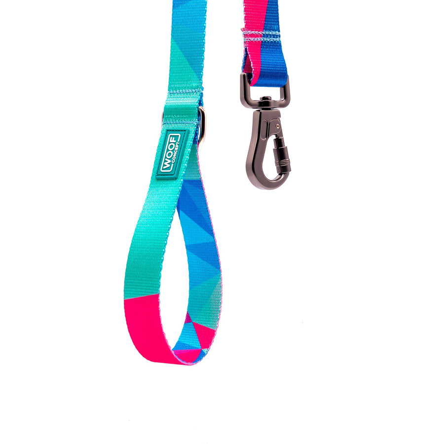 Dog Leash by Woof C