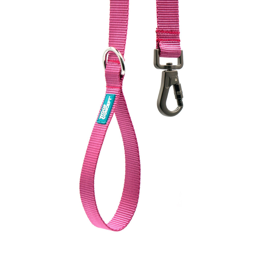 RASPBERRY - Dog Leash