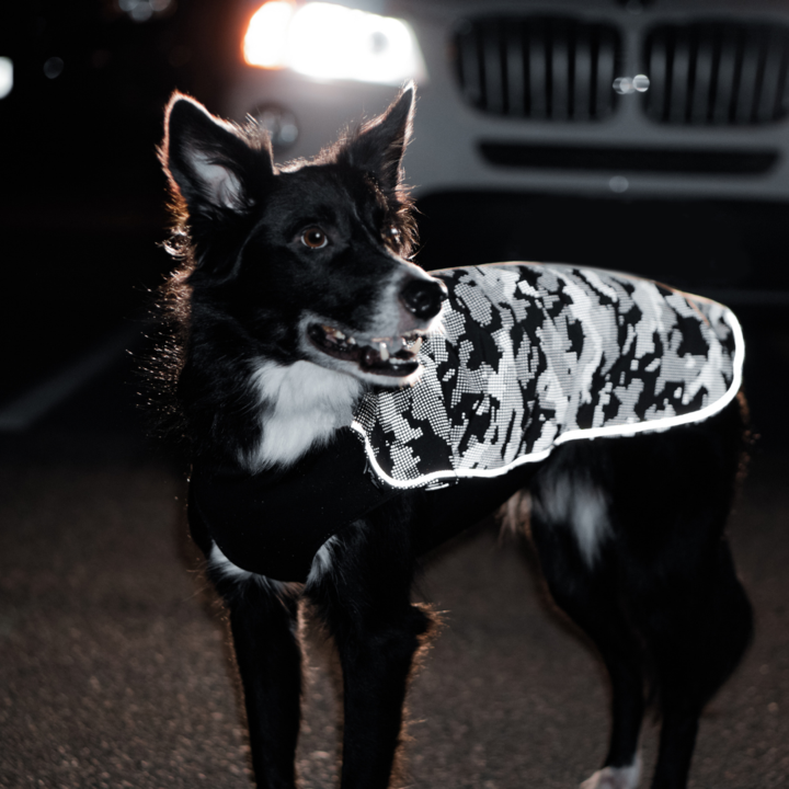Reflective Cognito by Woof Concept HK
