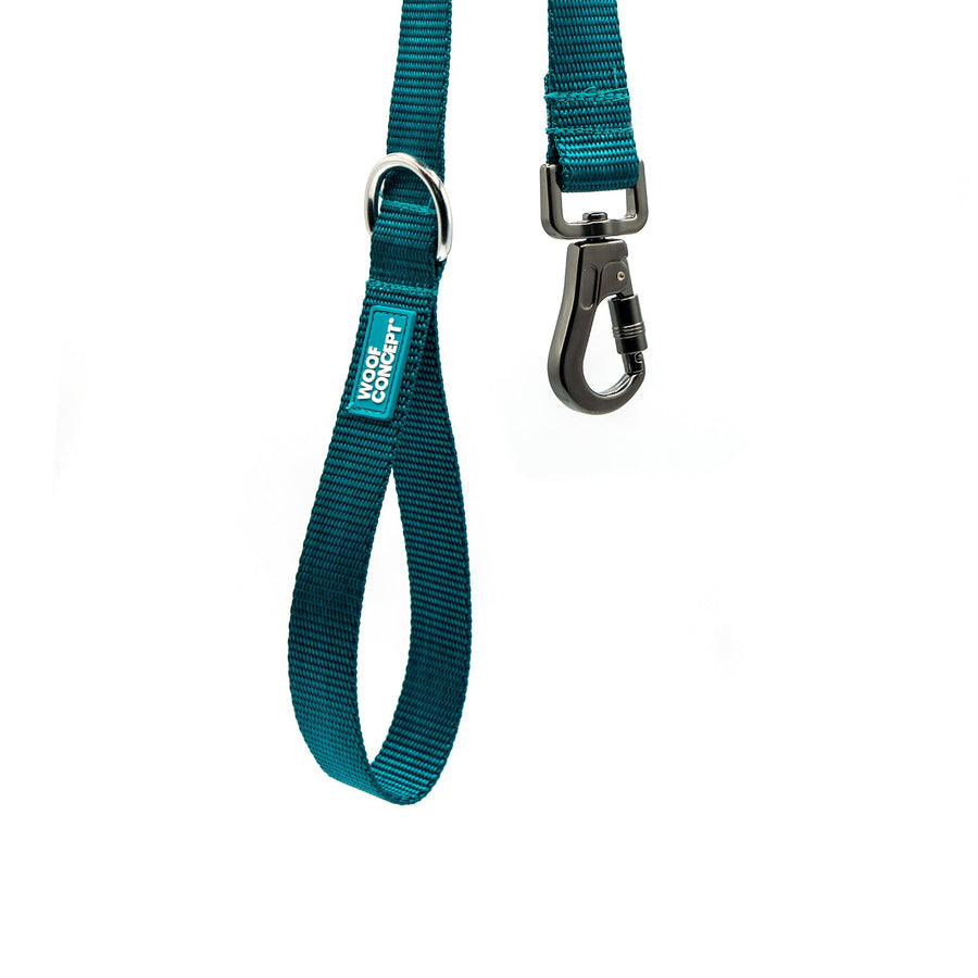 Dog Leash